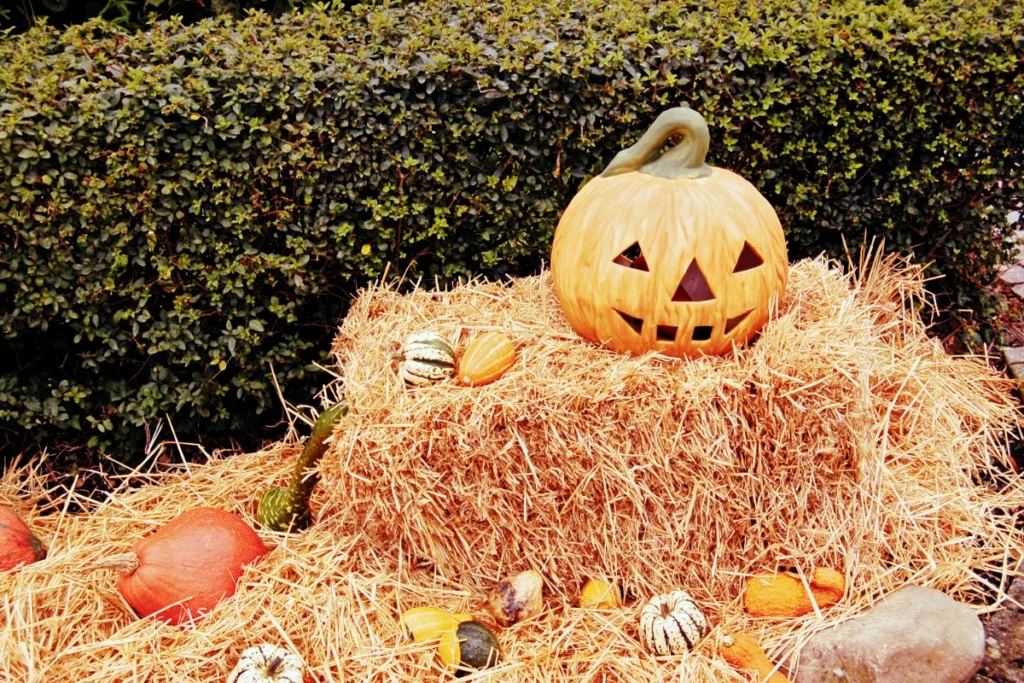 pumkins, gourds, squash and a hay bail to represent fall landscaping accents